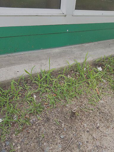 Photo_20190701_145920