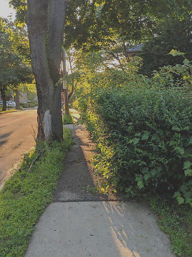 Photo_20190629_193548