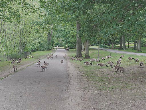 Photo_20190629_140324