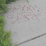 Graffiti at 524 Harvard St