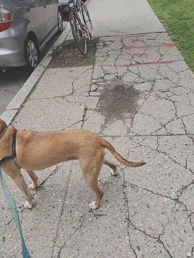 Photo_20190621_122316