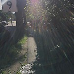 Sidewalk Repair at 755 Boylston St, Chestnut Hill