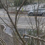 Pothole at 797 Washington St