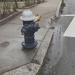 Sidewalk Repair at 120 Franklin St