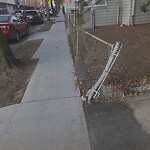 Sidewalk Repair at 38 Stedman St