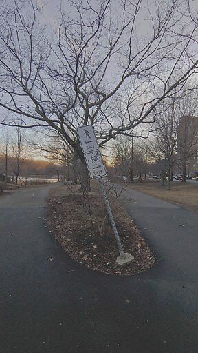 Photo_20190208_163513