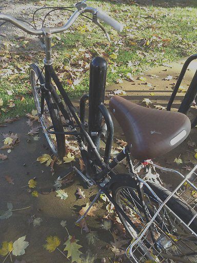 Photo_20181103_150133