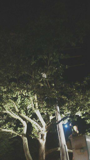 Photo_20180524_022511