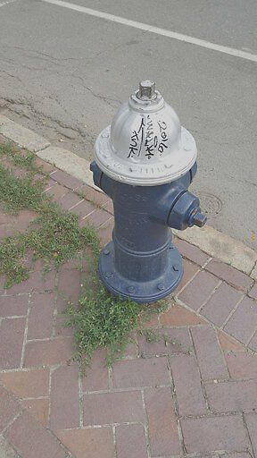 Photo_20170722_164751