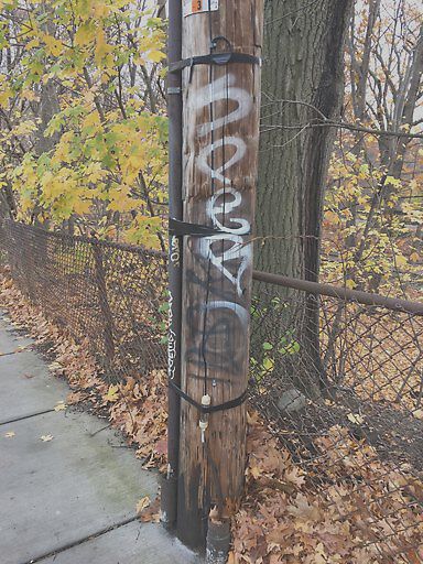 Report