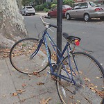 Abandoned Bike at 6 Beals St