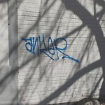Graffiti at 163 Amory St