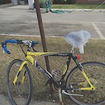 Abandoned Bike at 35 Vernon St
